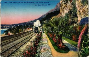 Beaulieu-sur-Mer, Cote dAzur / locomotive, train, French Riviera (EK)