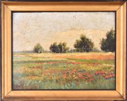 Újváry Ignác (1860-1927): Pipacsos mező. Olaj, karton, jelzett, kissé sérült keretben, 23×32 cm