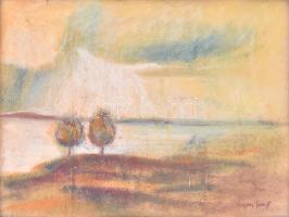 Egry jelzéssel: Balaton. Kréta, karton, sérült. Üvegezett fa keretben, 34x45 cm