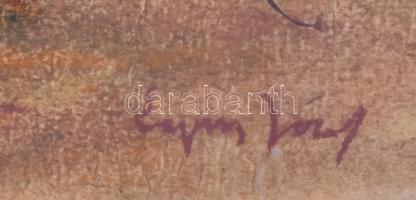 Egry jelzéssel: Balaton. Kréta, karton, sérült. Üvegezett fa keretben, 34x45 cm