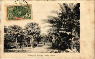 1907 Jardin Potager / vegetable garden, TCV card
