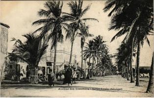 Saint-Louis, Avenue des Cocotiers / street view, coconut trees