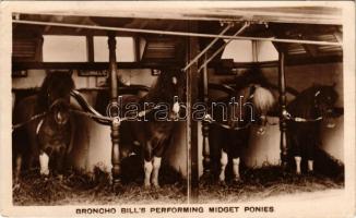 1929 Broncho Bill előadó törpelovai, 1929 Broncho Bill's performing Midget Ponies