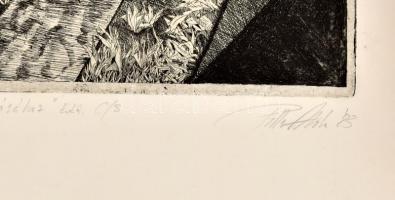 Piller Attila (1961-): Szekeret a világ kifordításához. Rézkarc, papír, jelzett (Piller Attila '...