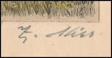 Z. Kiss jelzéssel: Szoptató anya. Színezett rézkarc, papír, lap széle sérült, rézkarc ép, 19,5x14,5 ...