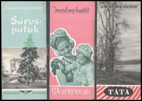 cca 1950-1960 7 db Ismerd meg a hazádat! képes IBUSZ prospektus