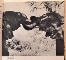 Szuhai István: Piga, Piga! Vadászkalandok három világrészen. Bp., 1967, Magvető. Fekete-fehér fotókk...