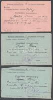 1919-41 1 db himlőoltási bizonyítvány, 2 db újraoltási bizonyítvány és Bischitz Miksa főorvosáltal kiállított orvosi igazolás, ugyanazon budapesti lakos részére