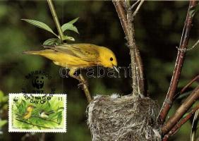 WWF Yellow warbler set CM WWF Sárga veréb sor CM WWF Goldwaldsänger Satz CM