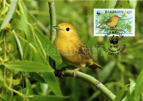 WWF Yellow warbler set CM WWF Sárga veréb sor CM WWF Goldwaldsänger Satz CM