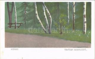 Miskolc, Népkert. Ferenczi Károly kiadása. művészlap s: H. Halász René (fl)