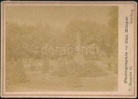 cca 1880-1890 Pozsony, keményhátú fotó, Carl Körper műterméből 10x13,5 cm