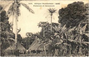 Palmiers et bananiers / palm and banana trees, huts