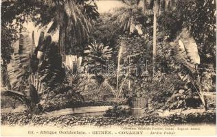 Conakry, Jardin public / public garden