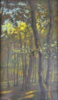 P. Bak János (1913-1981): Pázmándhegyi erdőbelső (Pannonhalma környéke). Olaj, vászon, jelzett, hátoldalán autográf felirattal. Kisebb felületi sérülésekkel. Üvegezett fa keretben. 65×37,5 cm