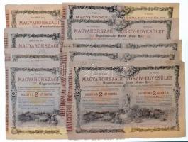 Budapest 1888. Magyarországi Jószív-Egyesület sorsjegykölcsön 2Ft-ról, szárazpecséttel, bélyegzéssel (9x) T:II-IV közte ragasztott