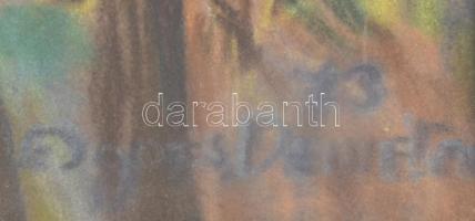 Diener Dénes Rudolf (1889-1956): Virágok. Pasztell, papír, jelzett, üvegezett fa keretben, 29,5×39,5...