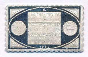 1981. Naptár Ag bélyegérem (37x22mm/0.835/4,75g) T:PP
