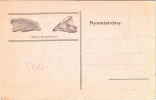 Tihany, A "kecskeköröm" regéje, Tihanyi kecskeköröm a (EK)