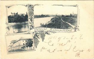 1898 (Vorläufer) Sárospatak, vár, könyvnyomda, református főiskola, Bodrog folyó. Art Nouveau, floral (EK)