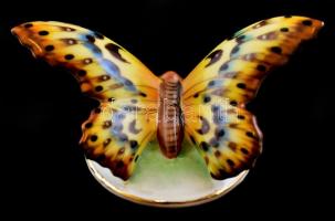 Drasche porcelán pillangó, kézzel festett, jelzett, apró lepattanásokkal, 9,5×5,5 cm