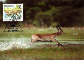 Antelope CM set Antilop CM sor Wasserbock CM Satz