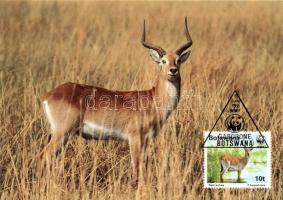 Antelope CM set Antilop CM sor Wasserbock CM Satz