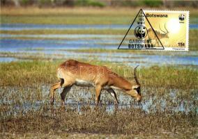 Antelope CM set Antilop CM sor Wasserbock CM Satz