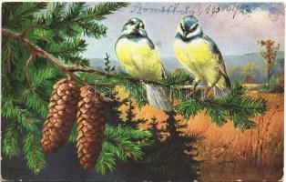 1933 Birds. T.S.N. Serie 1865. (EK)