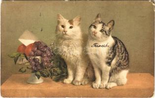 1918 Cats. Photochromie Serie 1003. (tear)