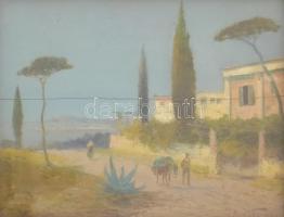 A.L. Terni jelzéssel: Mediterrán tengerpart. Olaj, fa, sérült. Sérült, üvegezett fa keretben, 20,5×26 cm