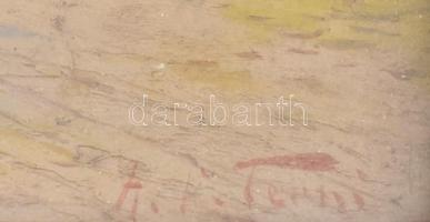 A.L. Terni jelzéssel: Mediterrán tengerpart. Olaj, fa, sérült. Sérült, üvegezett fa keretben, 20,5×2...