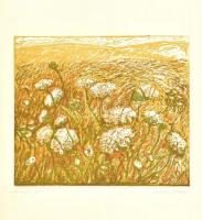 Somlai Vilma (1938-2007): Virágos domb. Színes linómetszet, papír, jelzett, 30×35 cm