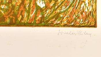 Somlai Vilma (1938-2007): Virágos domb. Színes linómetszet, papír, jelzett, 30×35 cm