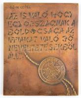 Jelzés nélkül: Mikes Kelemen: Törökországi levelek 62. levél. bronz plakett. 18x14 cm