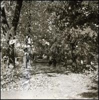 II. világháborús katonai negatívok, főleg csoportképek, 12 db negatív, 6×6 és 6×9 cm