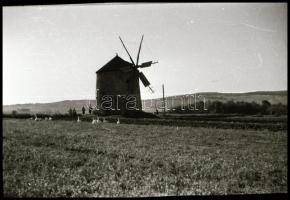 Tési szélmalom, 1 db negatív kocka + 1 db kontakt kép, 3,5×4 cm