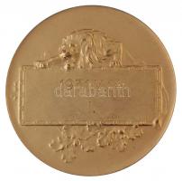 1931. Íjászt ábrázoló céllövő aranyozott fém díjérem, "Huguenin" gyártói jelzéssel, hátold...