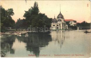 1909 Budapest XIV. Városligeti tó. Taussig A. 3029. (EM)