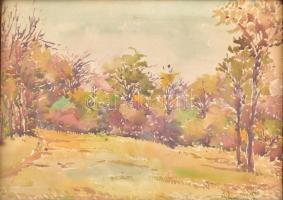 Dankó Gyula 1925: Őszi táj. Akvarell, papír. Üvegezett, kissé sérült fa keretben. 25×33 cm