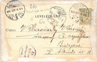 1905 Budapest VIII. Tisztviselőtelep, Népligeti nagy vendéglő, sörcsarnok, Sverteczky Gáspár üzlete ...