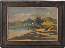 Jelzés nélkül: Vípart. Olaj, karton. Sérült. Hátoldalán régi Abend és Szittner keretező pecséttel. D...