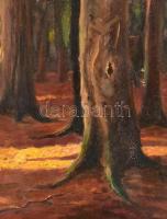 Jelzés nélkül: Erdőbelső. Olaj, vászon. Díszes fa kerteben. 28×20 cm