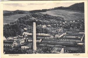 1931 Salgótarján, Acélgyár, iparvasút