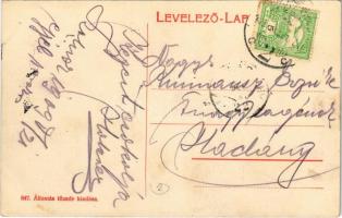 1909 Szolnok, Tiszai részlet, templomok, zsinagóga, uszályok, úsztatott fa