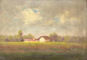 Olvashatatlan jelzéssel: Tanya napfényben. Olaj, fa. Fa keretben, hátoldalán régi rákospalotai keretező címkéjével, 24x34 cm