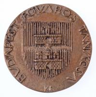 Kiss Sándor (1925-1999) ~1970. "Budapest Főváros Tanácsa" a Metrót ábrázoló kétoldalas Br ...