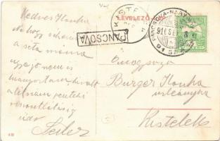 Pancsova, Pancevo; Sztarcsovai út, Juba és Csányi üzlete, Gyógyszertár / street view, shops, pharmac...