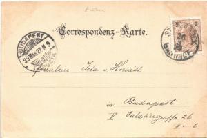 1899 Zidani Most, Klausenstein, Steinbrück; Bahnhof, Savethal, Triglav, Erzherzog Johann Brücke / ra...