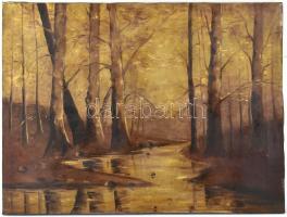 Mednyánszky jelzéssel: Erdei fények. Olaj, vászon, restaurált. 59×79 cm